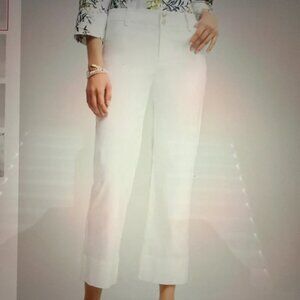 Chico's Trapunto Straight Leg Cropped Pants. EUC